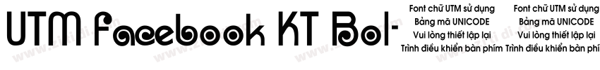 UTM Facebook KT Bol字体转换